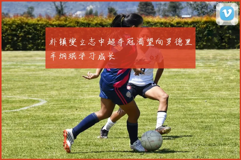 朴镇燮立志中超夺冠渴望向罗德里辛炯珉学习成长