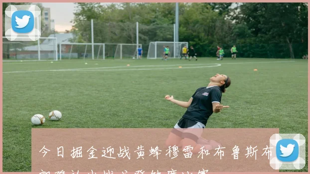 今日掘金迎战黄蜂穆雷和布鲁斯布朗确认出战戈登缺席比赛